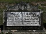 image of grave number 885733